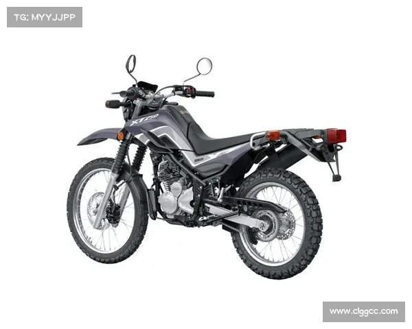 Yamaha XT250S “ 小鹿 ” 进入全面停产倒时计